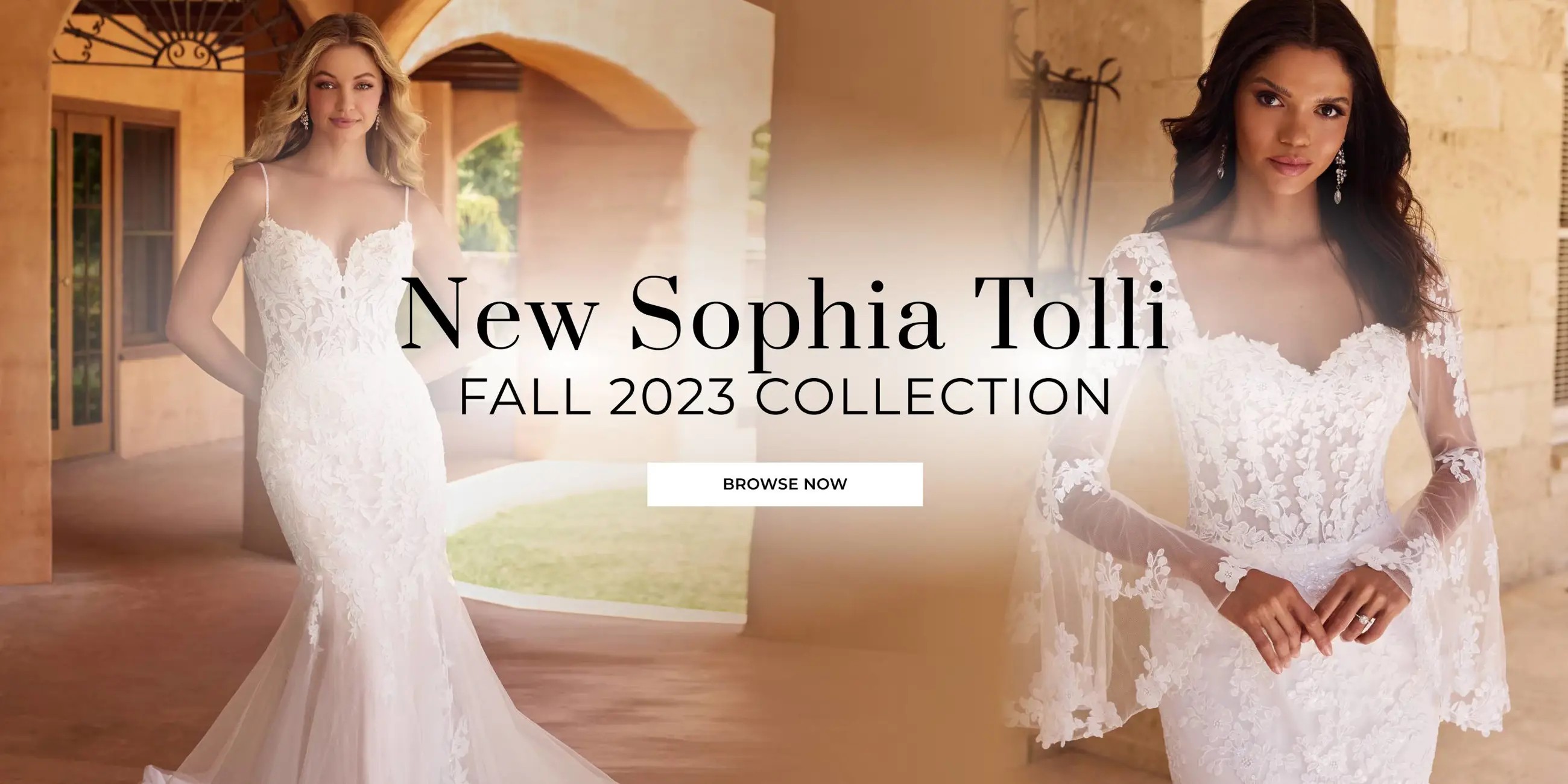 Sophia Tolli banner
